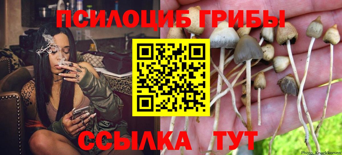 как найти закладки  Вход с VPN  Коммунар  Псилоцибиновые грибы Psilocybe 